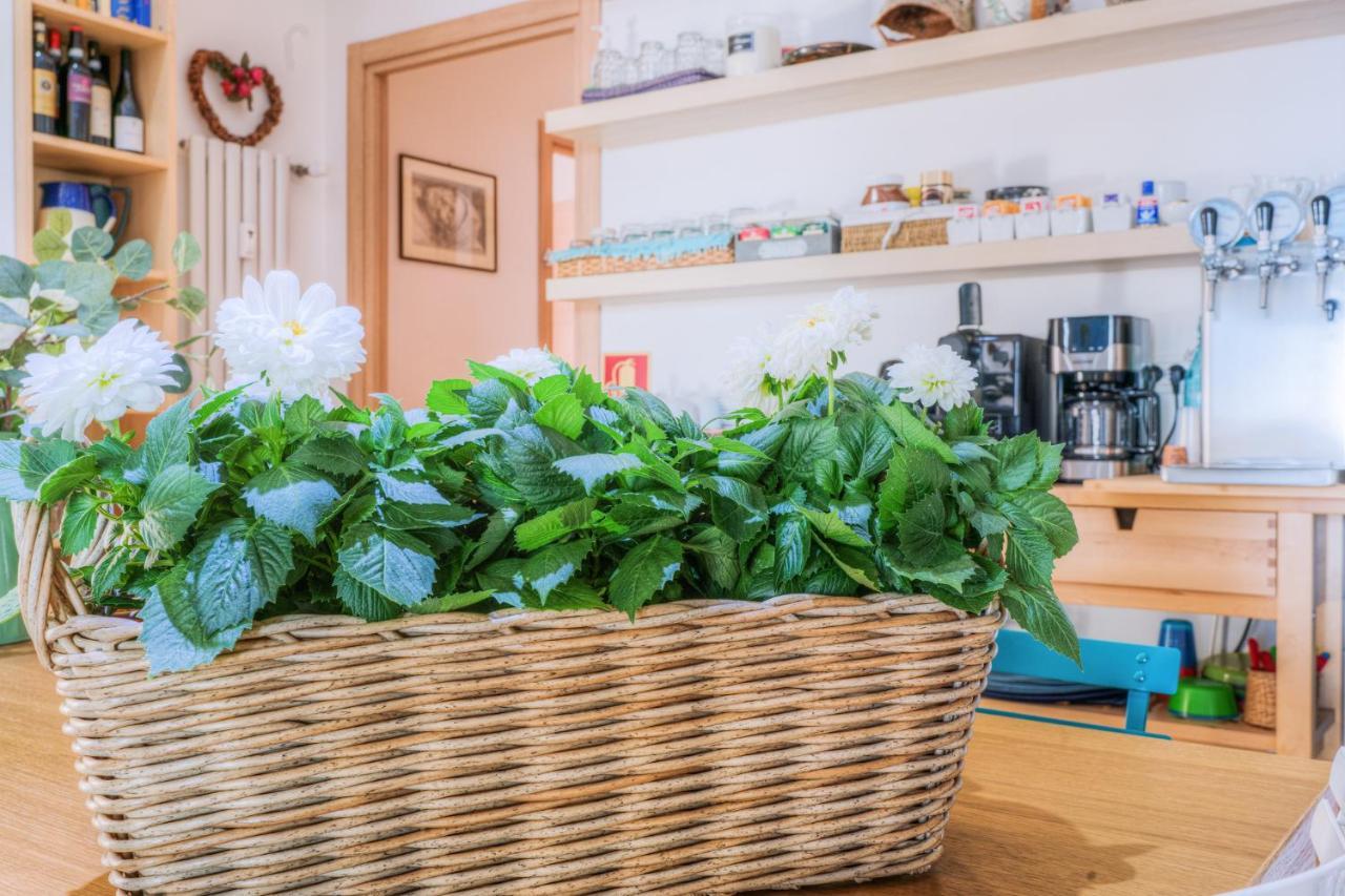 La Casa Sul Mare Bed & Breakfast Civitavecchia Dış mekan fotoğraf